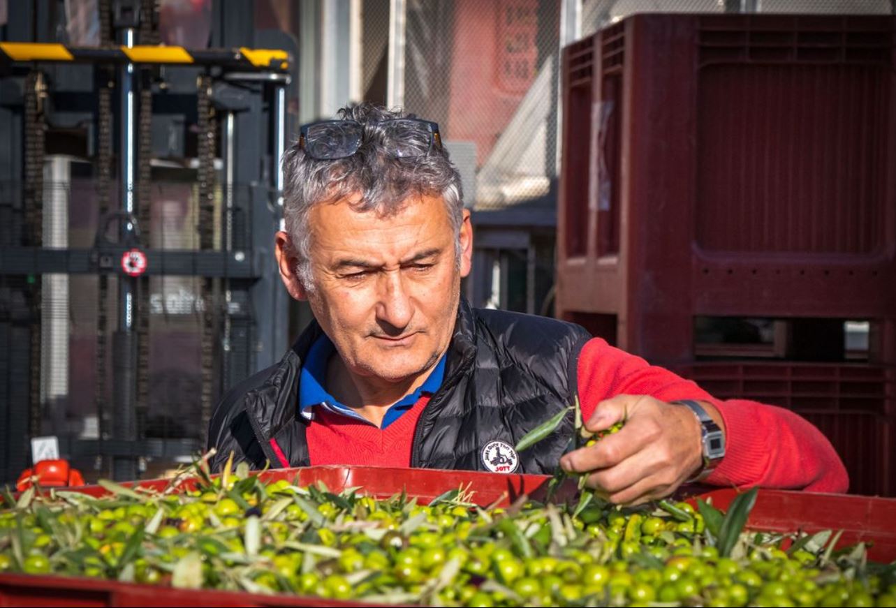 르올리보 농장주 80년 장인 정신